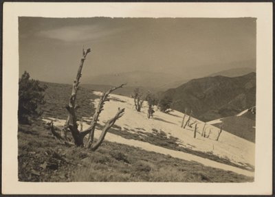 [Paisaje] de Louis Fleckenstein