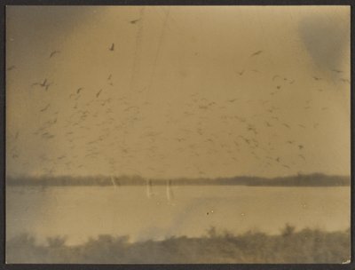 [Paisaje con pájaros] de Louis Fleckenstein
