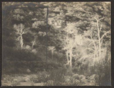 [Paisaje con árboles claros] de Louis Fleckenstein