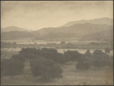 [Paisaje con árboles bajos] de Louis Fleckenstein