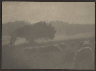 [Paisaje con ovejas] de Louis Fleckenstein