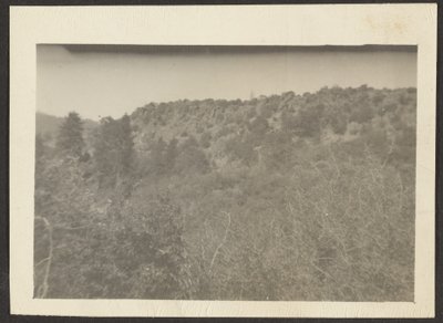 [Paisaje con arbustos] de Louis Fleckenstein
