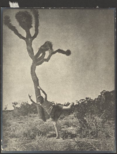 Ligereza y gracia - Dancing Joshua de Louis Fleckenstein