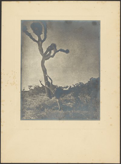  de Louis Fleckenstein
