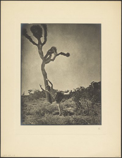  de Louis Fleckenstein