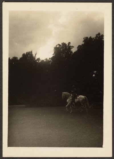 [Hombre a caballo con árboles oscuros y cielo claro]. de Louis Fleckenstein