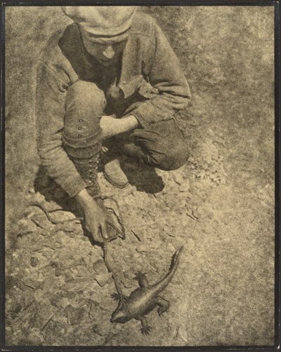  de Louis Fleckenstein