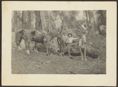 [Hombres y caballos de carga en la limpieza del bosque] de Louis Fleckenstein