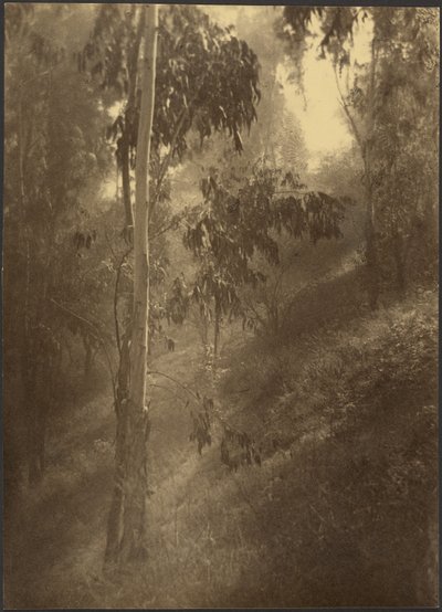  de Louis Fleckenstein