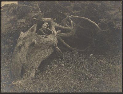  de Louis Fleckenstein