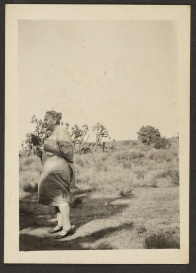 [Sra. Fleckenstein en Paisaje] de Louis Fleckenstein