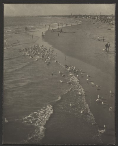 Newport Beach de Louis Fleckenstein