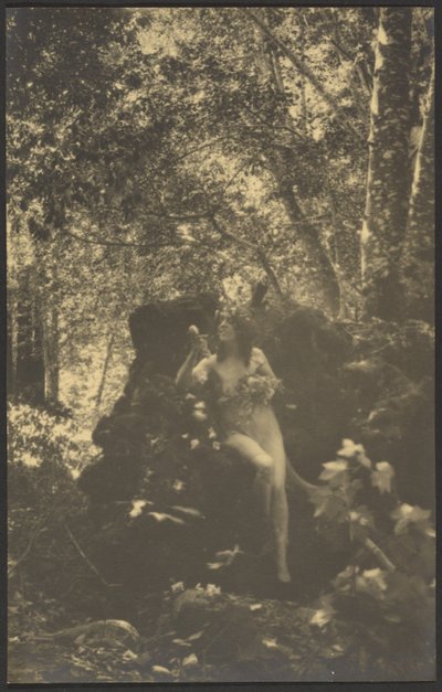  de Louis Fleckenstein
