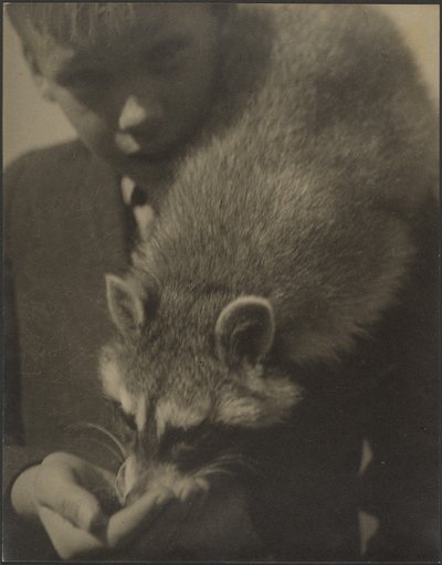 [Retrato de un niño dando de comer a un mapache] de Louis Fleckenstein