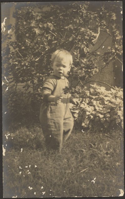 [Retrato de un niño en el jardín] de Louis Fleckenstein
