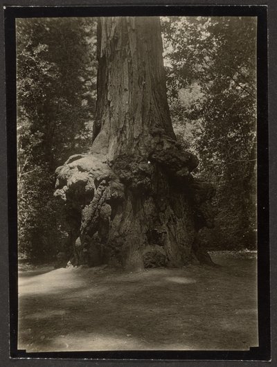  de Louis Fleckenstein