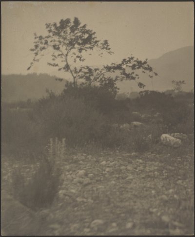 [Paisaje rocoso] de Louis Fleckenstein