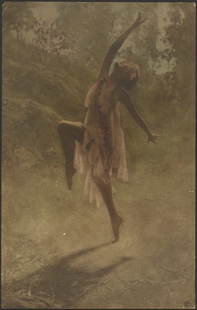 Danza de las Rosas del Sur de Louis Fleckenstein