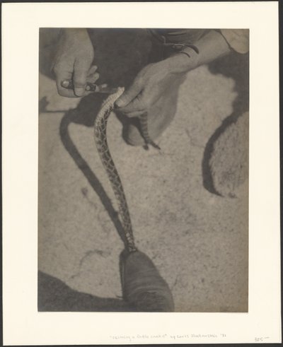  de Louis Fleckenstein
