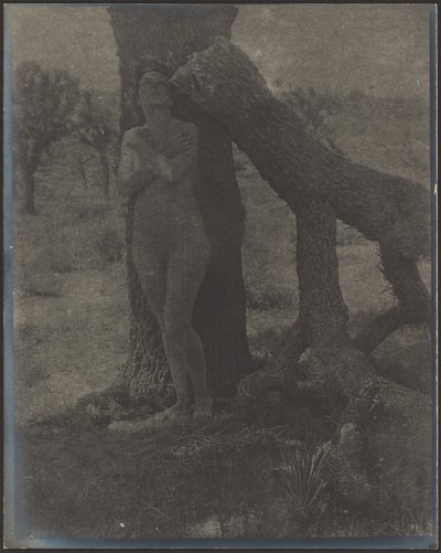 Espíritu de Josué de Louis Fleckenstein