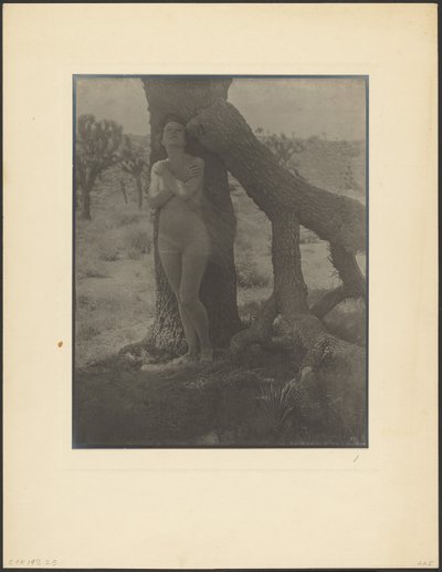  de Louis Fleckenstein