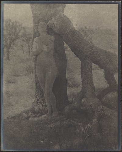  de Louis Fleckenstein