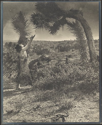  de Louis Fleckenstein