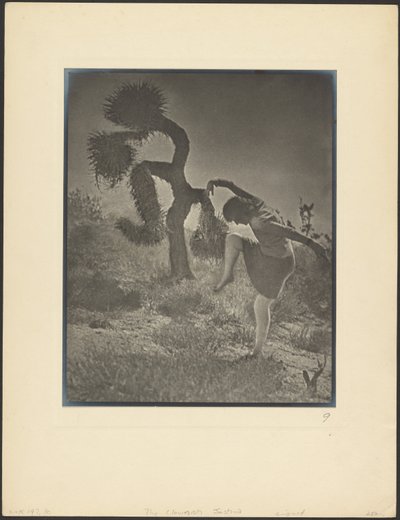  de Louis Fleckenstein