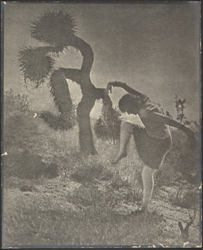  de Louis Fleckenstein