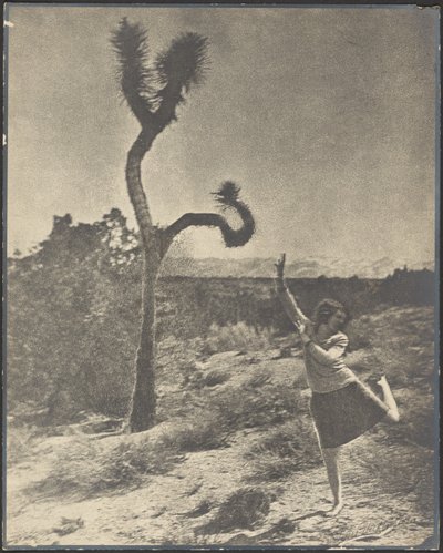  de Louis Fleckenstein