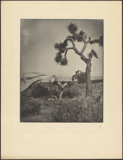 El viento del desierto de Louis Fleckenstein