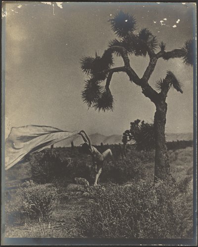  de Louis Fleckenstein