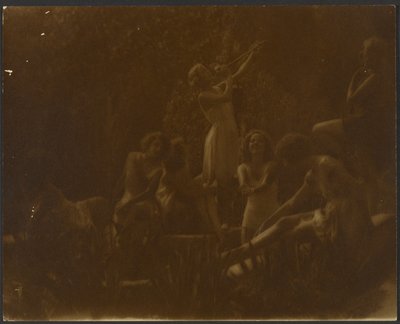 Lirios de agua de Louis Fleckenstein