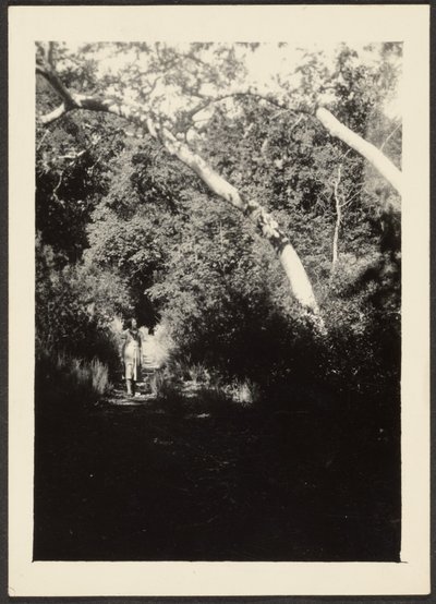 [Mujer en un sendero en el bosque] de Louis Fleckenstein