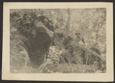 [Mujer sobre rocas en el bosque] de Louis Fleckenstein