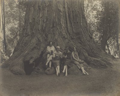 [Mujeres con cámaras en la base de un árbol] de Louis Fleckenstein