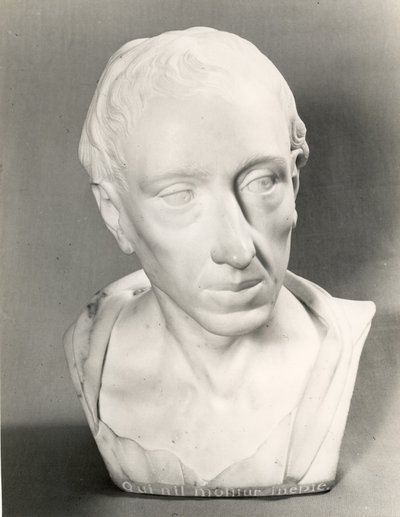 Busto de Alexander Pope de Louis Francois Roubillac