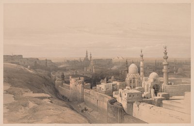 Egipto y Nubia: Volumen III - No. 26, El Cairo, mirando al oeste de Louis Haghe