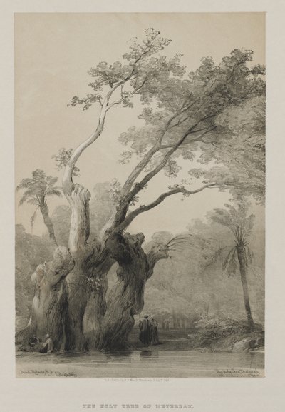 Egipto y Nubia, Volumen III: El Árbol Sagrado de Metereah, 1849 de Louis Haghe