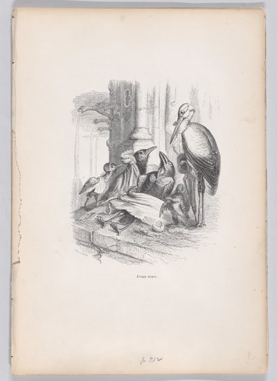 Yo era una viuda de Escenas de la vida privada y pública de los animales de Louis Henri Brévière