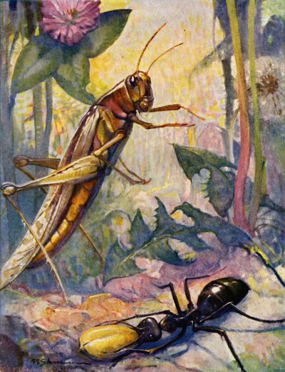 La hormiga y el saltamontes (litografía en color) de Louis John Rhead