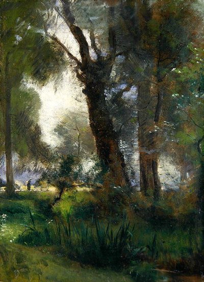 El borde del Karlsaue, Kassel de Louis Kolitz