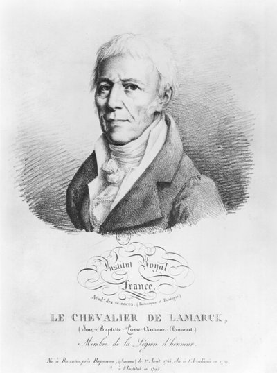 Retrato de Jean-Baptiste de Monet (1744-1829) Chevalier de Lamarck, de 