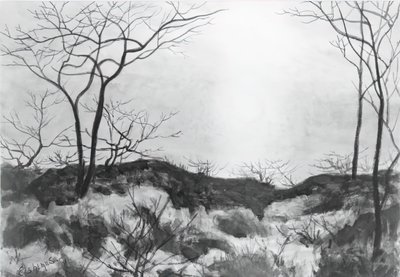 Paisaje azul, c. 1896-1899 de Louis Michel Eilshemius
