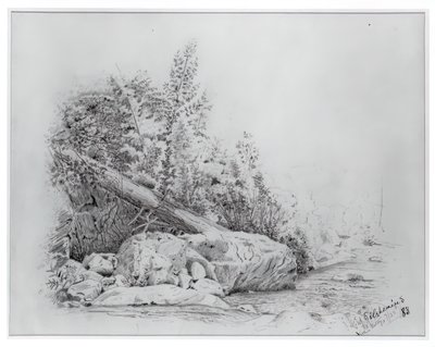 Árbol caído, Valle de Keene, 25 de julio de 1883 de Louis Michel Eilshemius