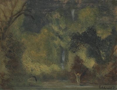 La piscina de Louis Michel Eilshemius