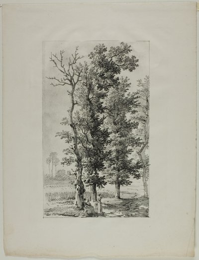 Estudio de Árboles de Louis Pierre Baltard
