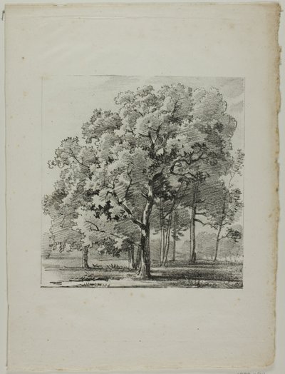Estudio de árboles de Louis Pierre Baltard