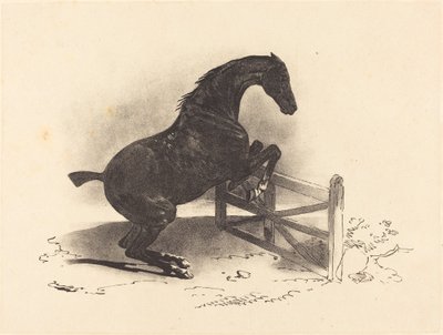 Caballo saltando una barrera de Louis Pierre Marie Courtin after Théodore Gericault