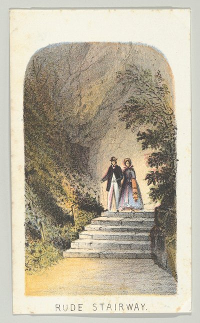 Escalera rústica, de la serie, Vistas en Central Park, Nueva York, Parte 2, 1864 de Louis Prang